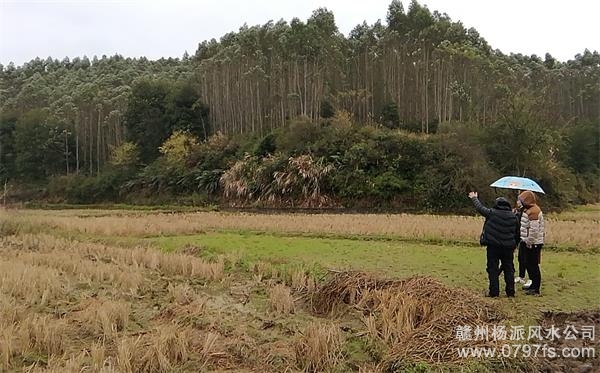 北京陈老师带着爱徒寻龙点穴